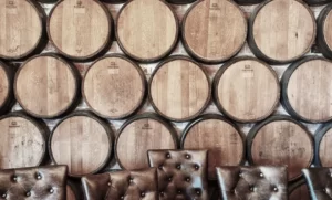 Read more about the article Etiam rutrum, enim molestie consequat vel venenatis