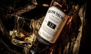 Read more about the article Orci luctus nibh, ut leo sit amet, consectetuer ut, neque