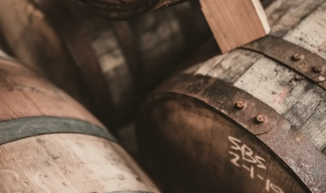 Read more about the article In arcu quis wisi donec vitae libero maecenas blandit