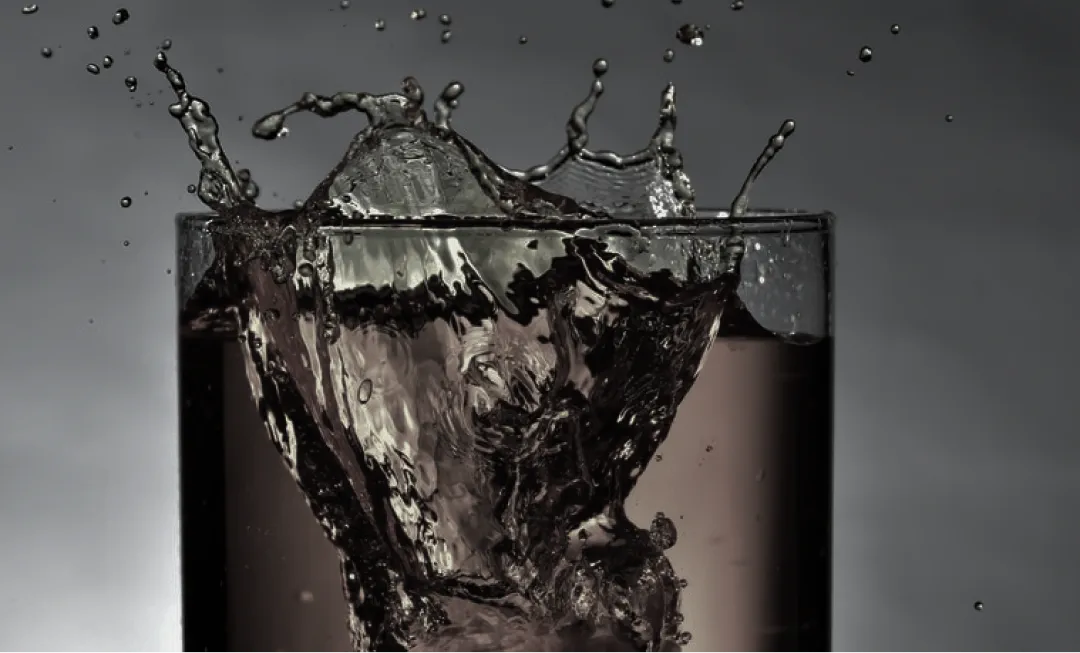 You are currently viewing Pellentesque nibh ac risus fringilla purus at eros