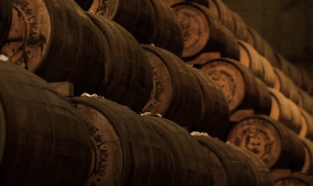 Read more about the article Elementum ultrices nunc in erat sem ut metusa enean