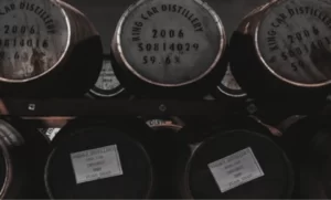 Read more about the article Lacinia quis, varius lectus nullam viverra vel, velit